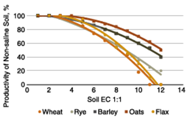 Figure 6.6. Tolerance of oat (top curve), barley (second curve from top), rye (third curve from top at right end of image), flax and wheat to salinity. (from Fowler and Hamm, 1980)
